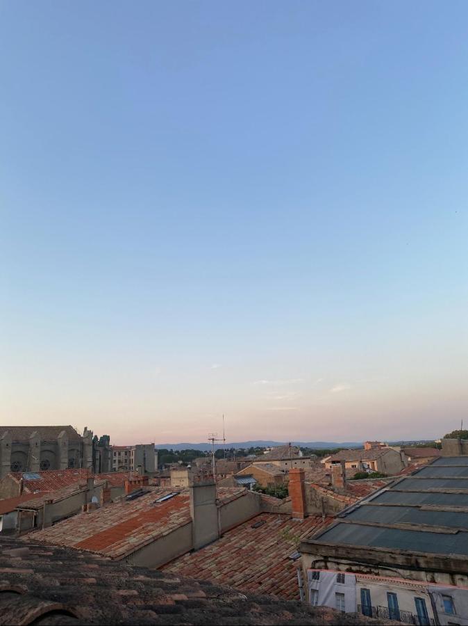 Rooftop Standing Place Carnot Каркасон Екстериор снимка
